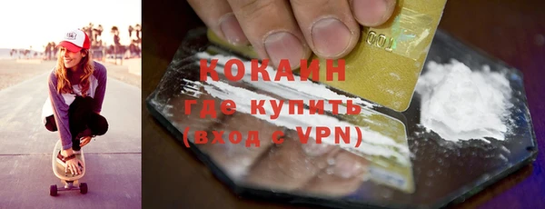 шишки Белокуриха