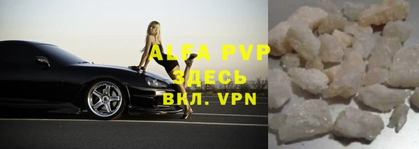 шишки Белокуриха
