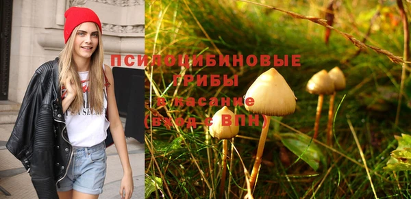 шишки Белокуриха
