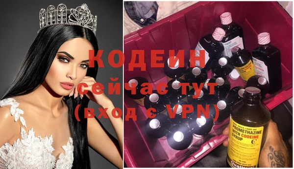 шишки Белокуриха