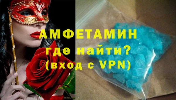 шишки Белокуриха