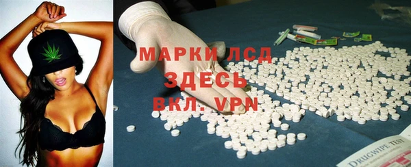 шишки Белокуриха