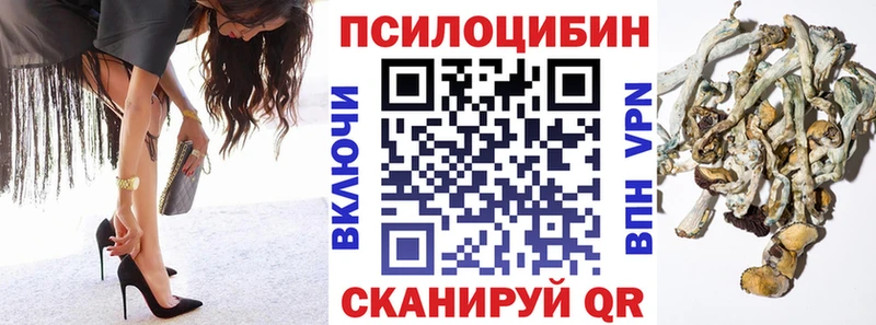 Галлюциногенные грибы Psilocybine cubensis  Купить где  Чистополь 